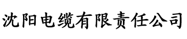 香蕉视频污污污导航电缆厂logo